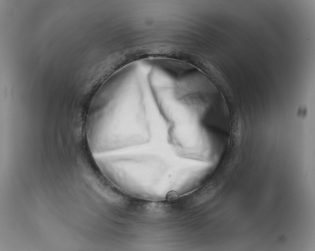 X0000113200261200910011303