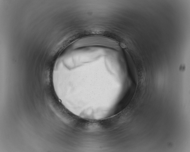 X0000113200262200910011303