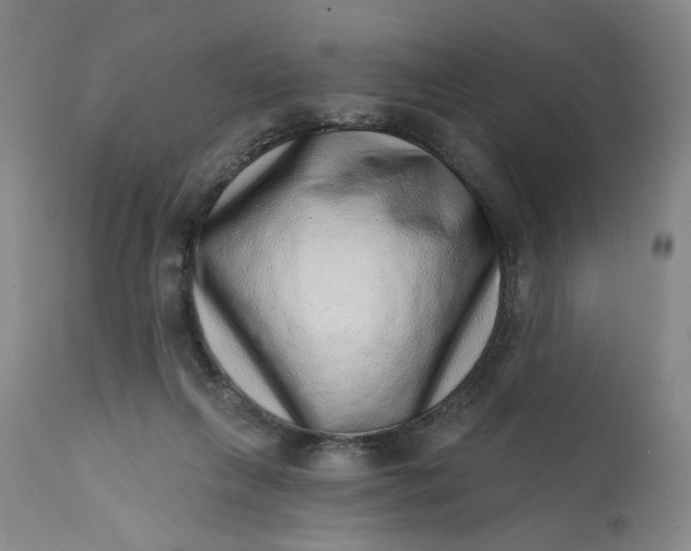 X0000113200263200910011303