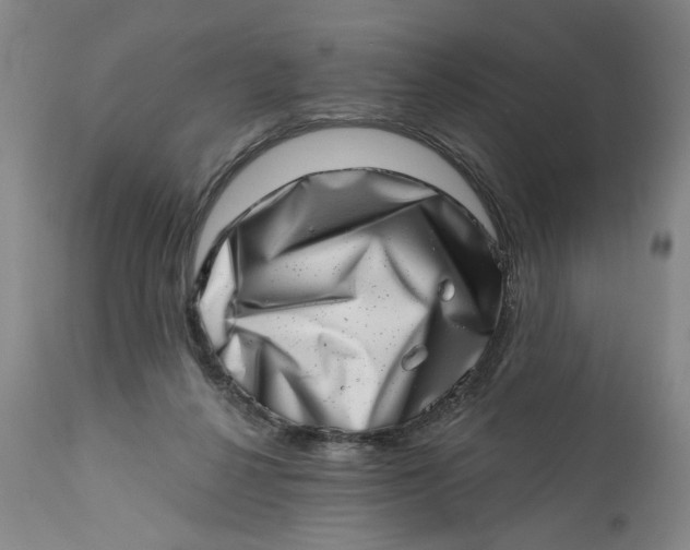 X0000113200264200910011303