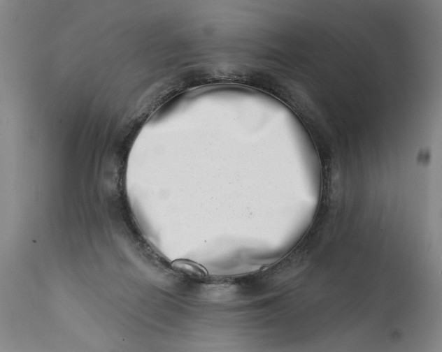 X0000113200266200910011303