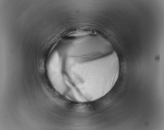 X0000113200267200910011303