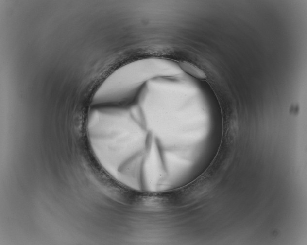 X0000113200268200910011303