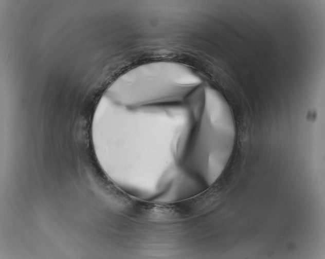 X0000113200270200910011303