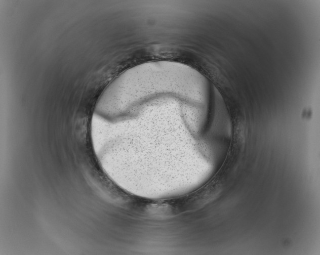 X0000113200271200910011303