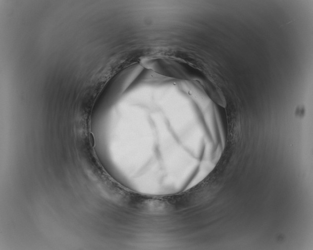 X0000113200272200910011303