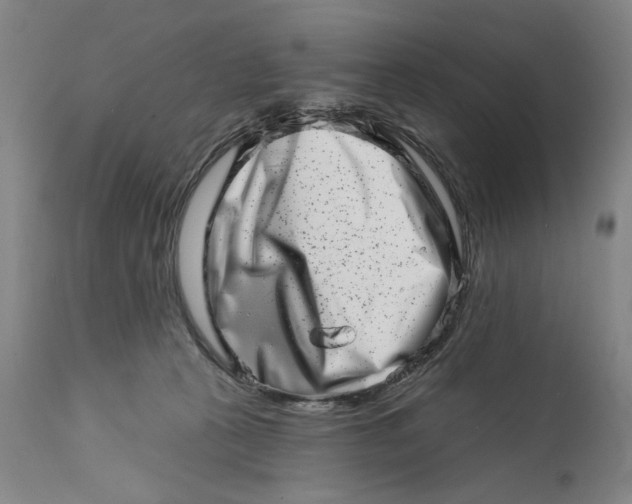 X0000113200273200910011303