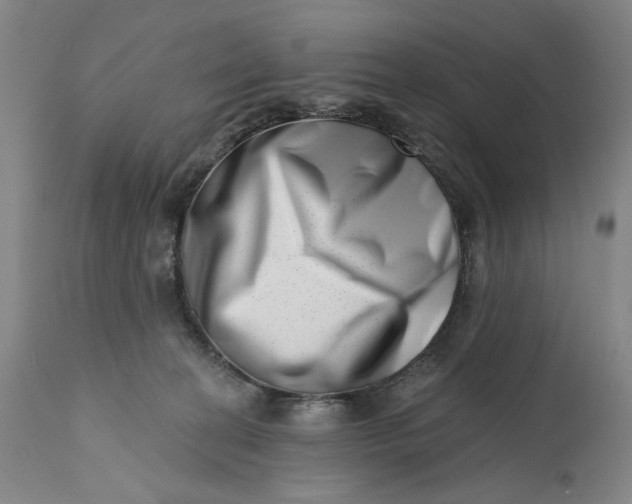 X0000113200274200910011303