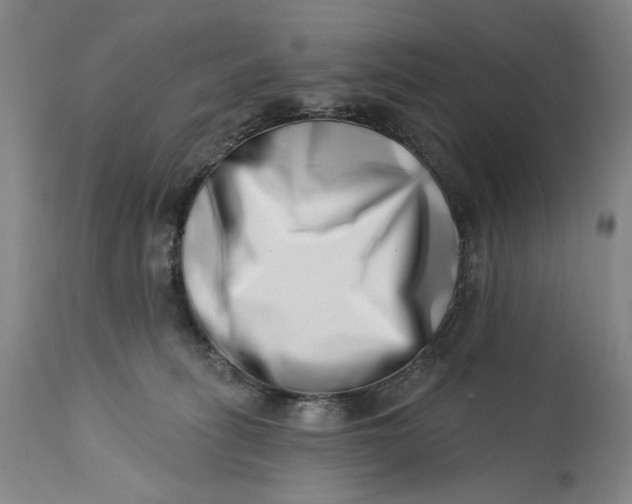 X0000113200275200910011303