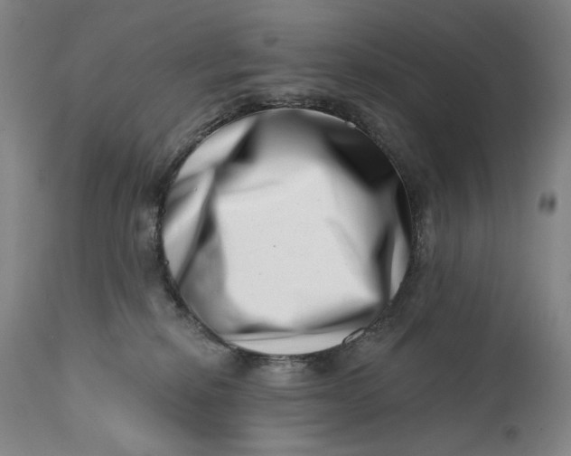 X0000113200278200910011303