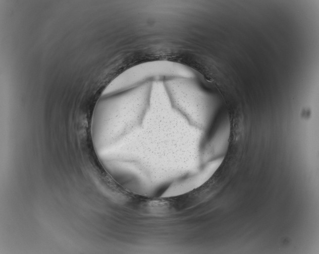 X0000113200279200910011303