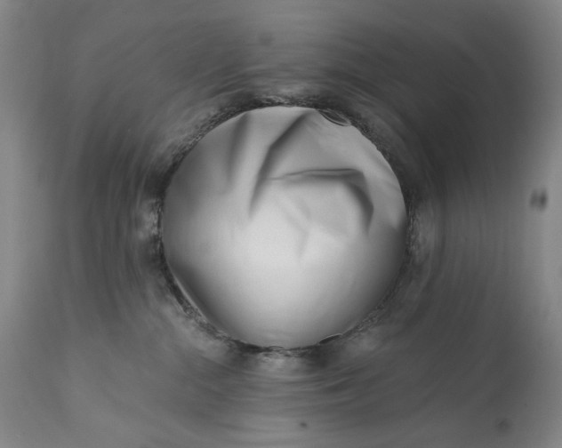 X0000113200284200910011304