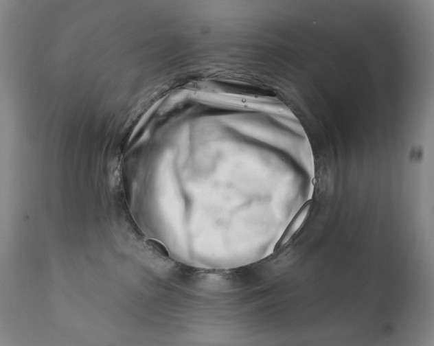 X0000113200285200910011304