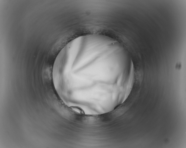 X0000113200286200910011304