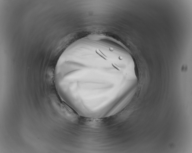 X0000113200288200910011304