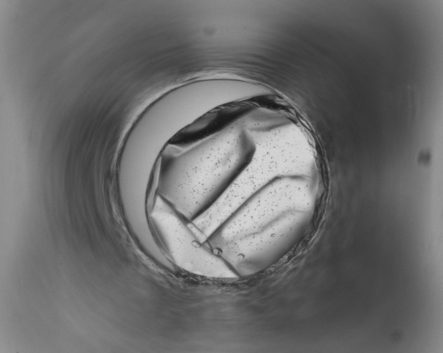 X0000113200289200910011303