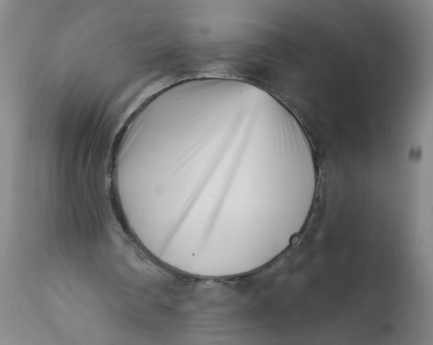 X0000113200290200910011303