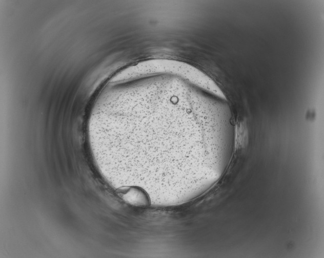 X0000113200291200910011303