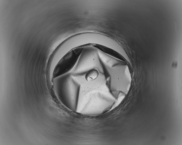 X0000113200292200910011303