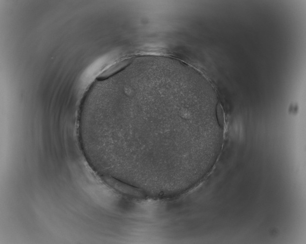 X0000113200293200910011303