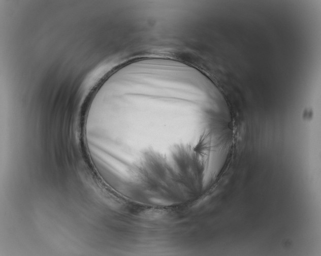 X0000113200294200910011303