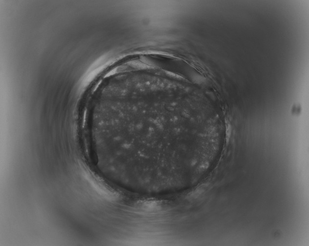 X0000113200295200910011303