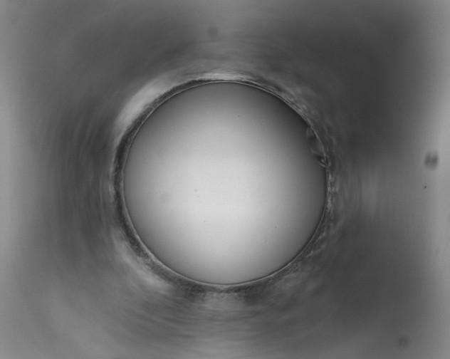 X0000113200296200910011303