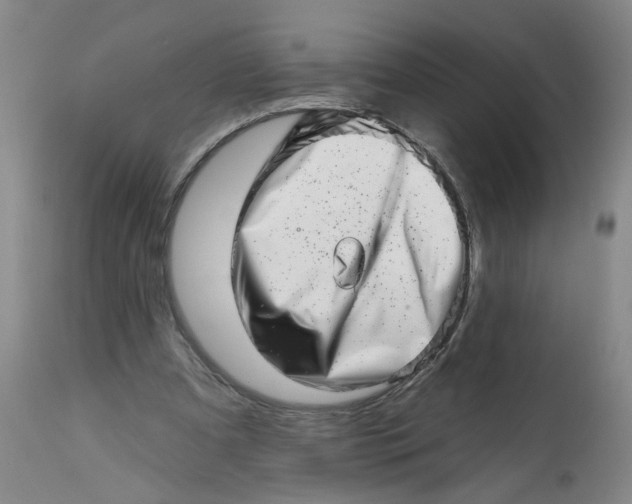 X0000113200297200910011303