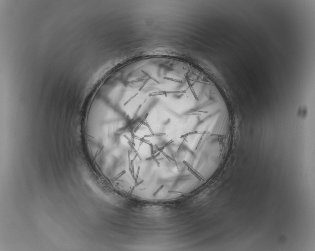 X0000113200298200910011303