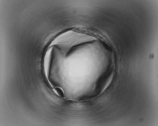 X0000113200299200910011303