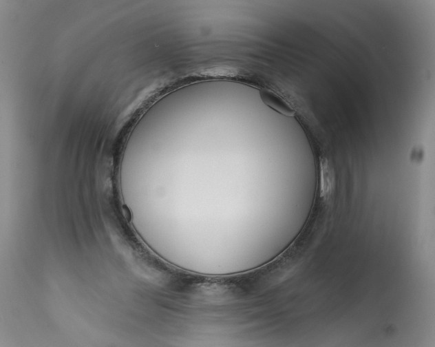 X0000113200300200910011303