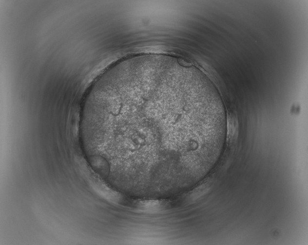 X0000113200301200910011303