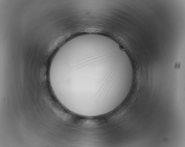 X0000113200303200910011303