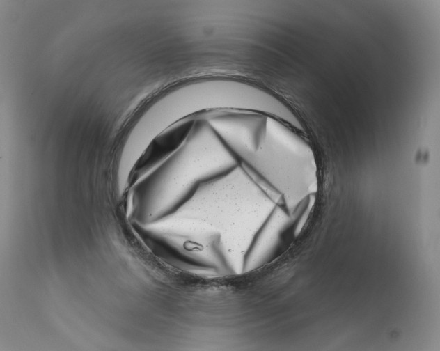 X0000113200304200910011303