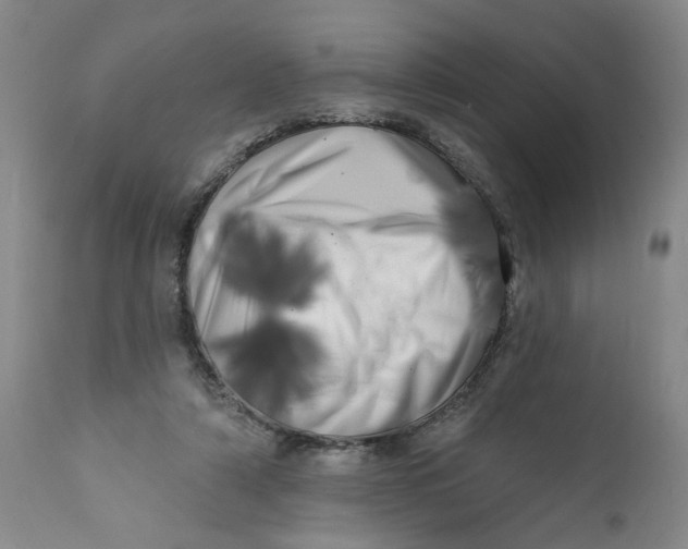 X0000113200306200910011303