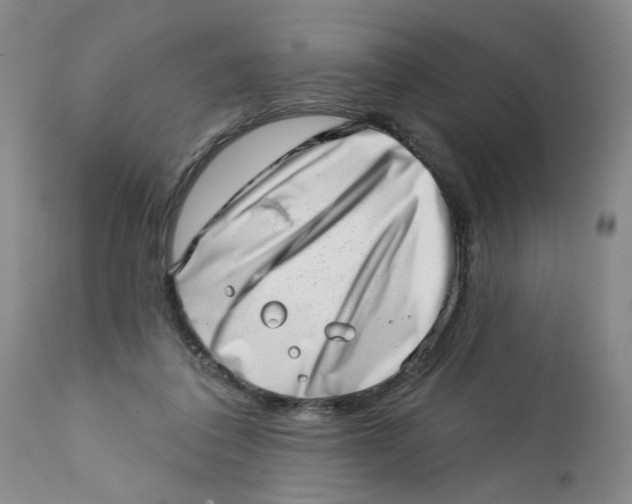 X0000113200308200910011303