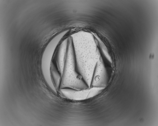 X0000113200309200910011302