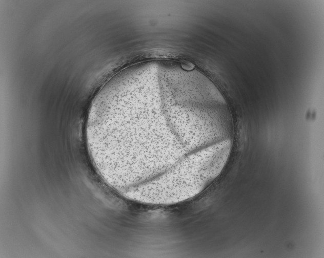 X0000113200310200910011302