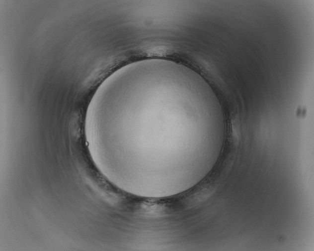 X0000113200311200910011302