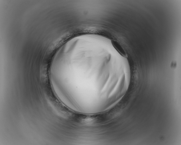 X0000113200312200910011302