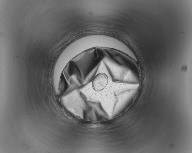 X0000113200313200910011302