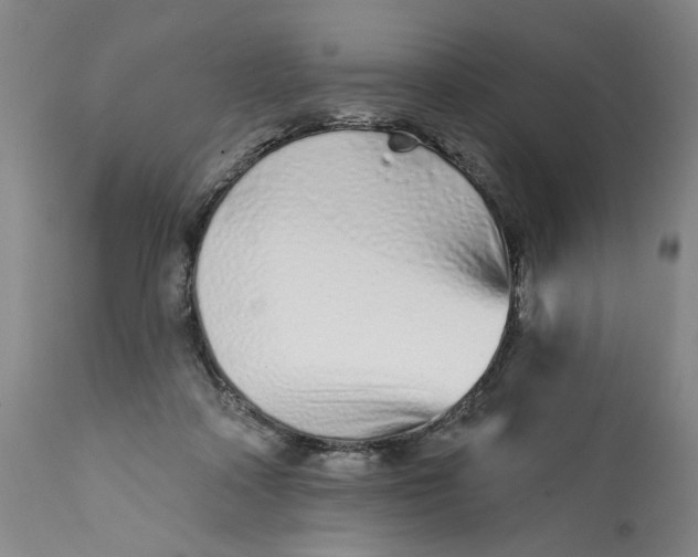 X0000113200314200910011302