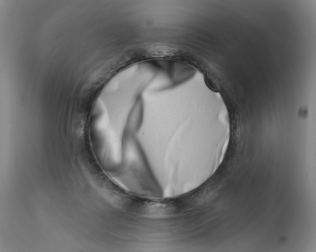 X0000113200315200910011302