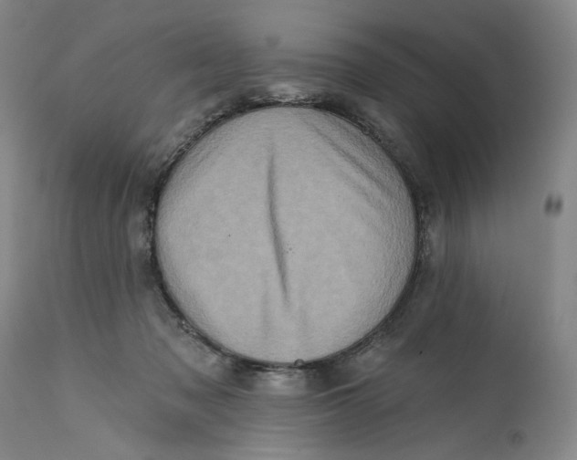 X0000113200317200910011302