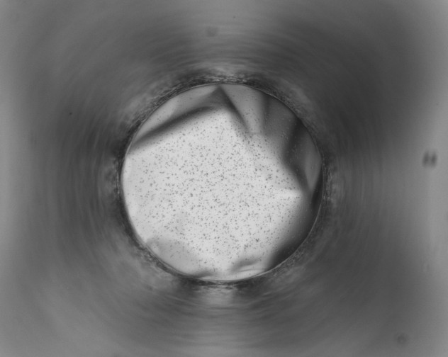 X0000113200318200910011302