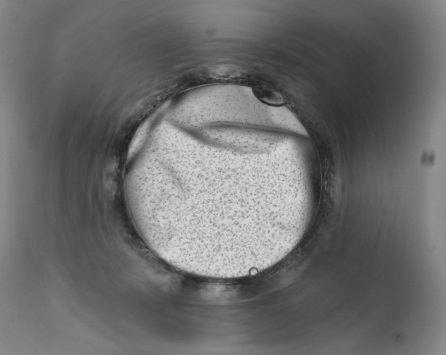 X0000113200319200910011302