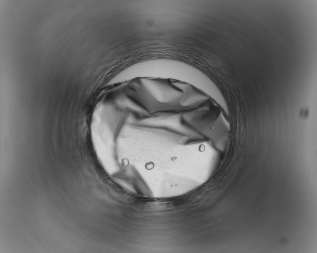 X0000113200320200910011302