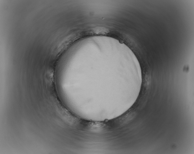 X0000113200321200910011302