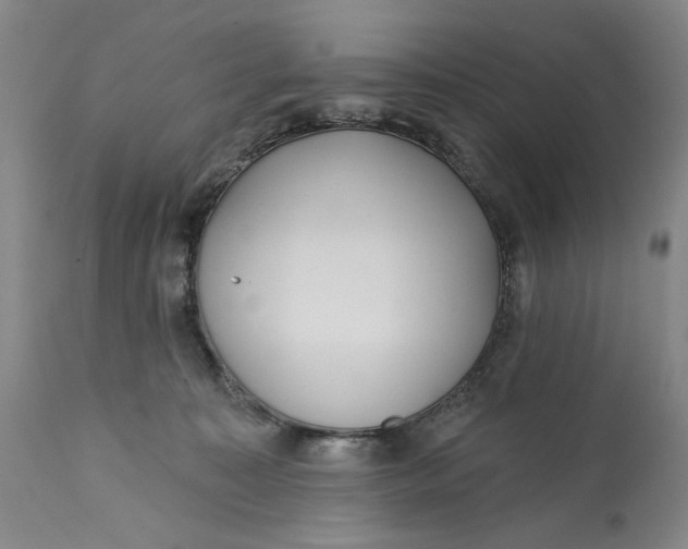 X0000113200323200910011302