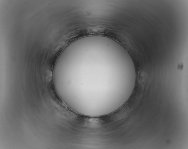 X0000113200324200910011302